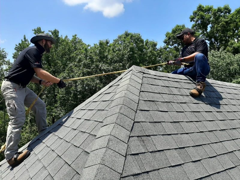 Eco-Friendly Roofing Options: Sustainable Choices for Your Home