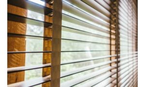 hunter douglas window shades