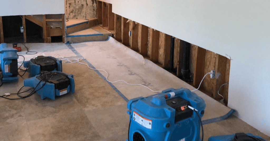 How Professional Drying and Dehumidification Prevent Mold After Flooding