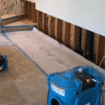 How Professional Drying and Dehumidification Prevent Mold After Flooding