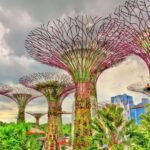 The Cosmic Garden Singapore's Landscape Services Revolution