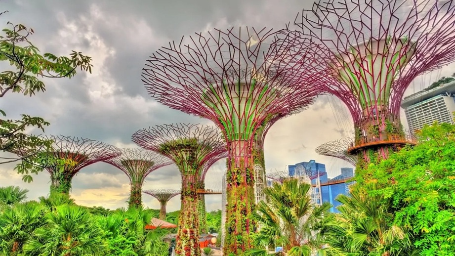 The Cosmic Garden Singapore's Landscape Services Revolution