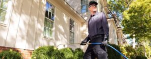 7 Facts to Know Before Selecting Pest Control Services in Denver