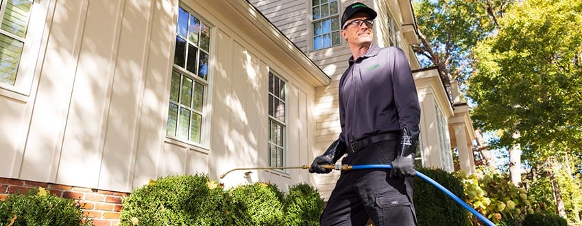 7 Facts to Know Before Selecting Pest Control Services in Denver