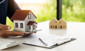 article_32482596_gallery_1774954156476