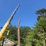 crane_tree_removal_cost_breakdown_for_large_trees_32483934_featured